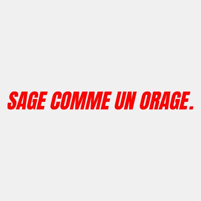 sage comme un orage