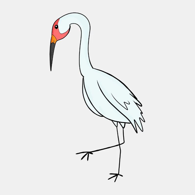 Zugvögel Kranich Vogel