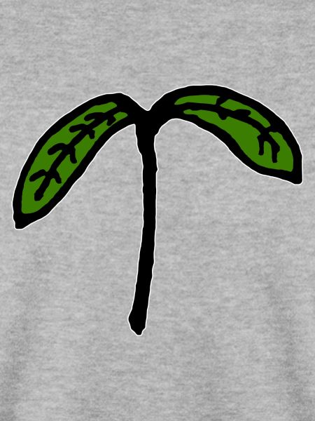 Sprössling Keimling Jungpflanze
