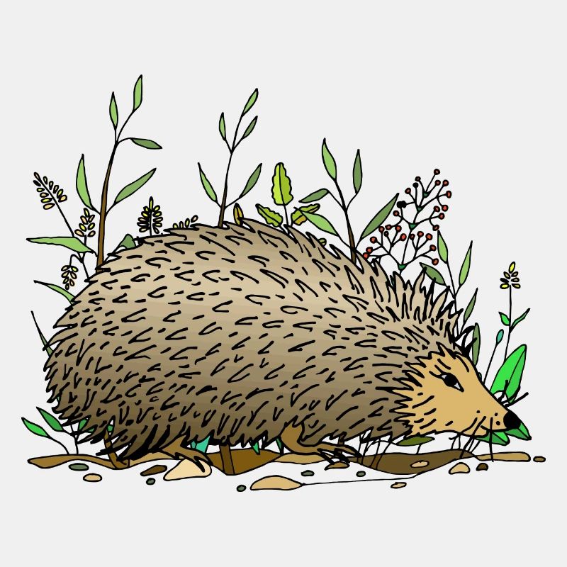 Igel