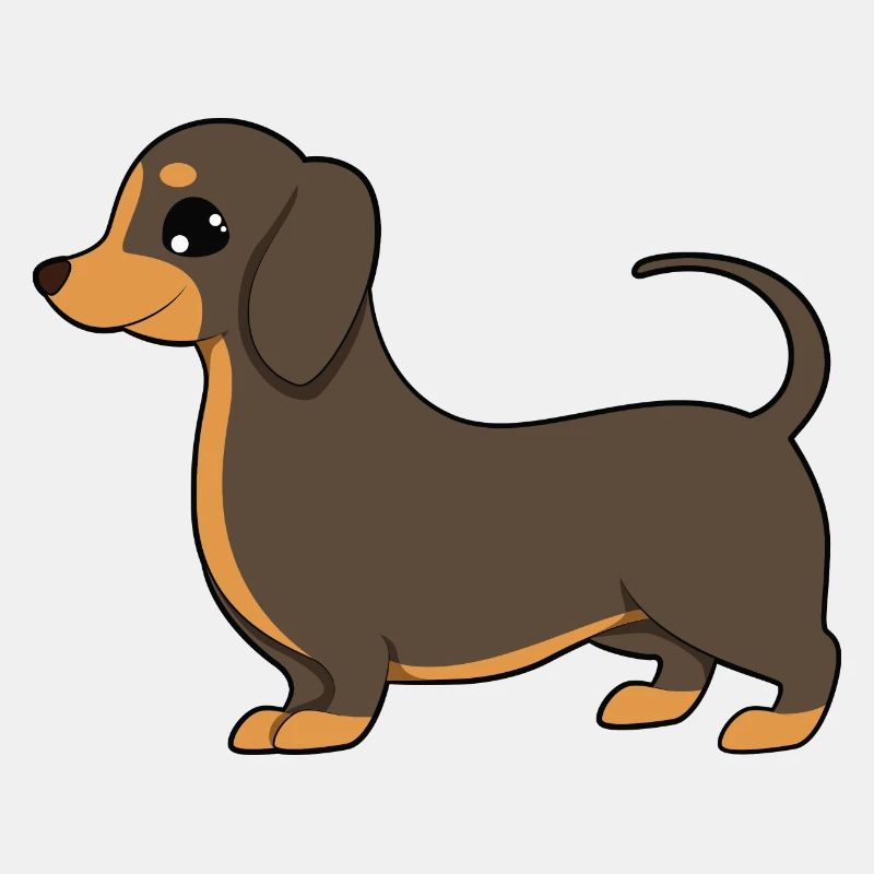 dachshund