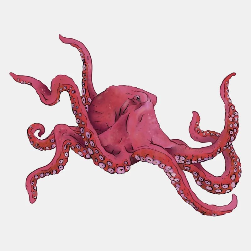 Octopus 3