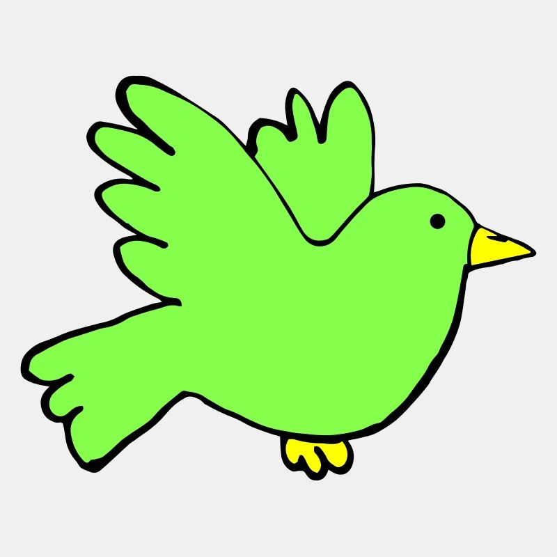Couleurs des oiseaux