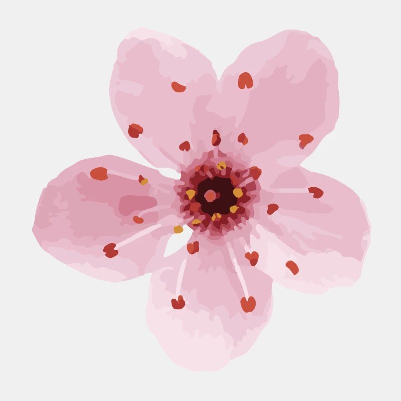 fleur de cerisier