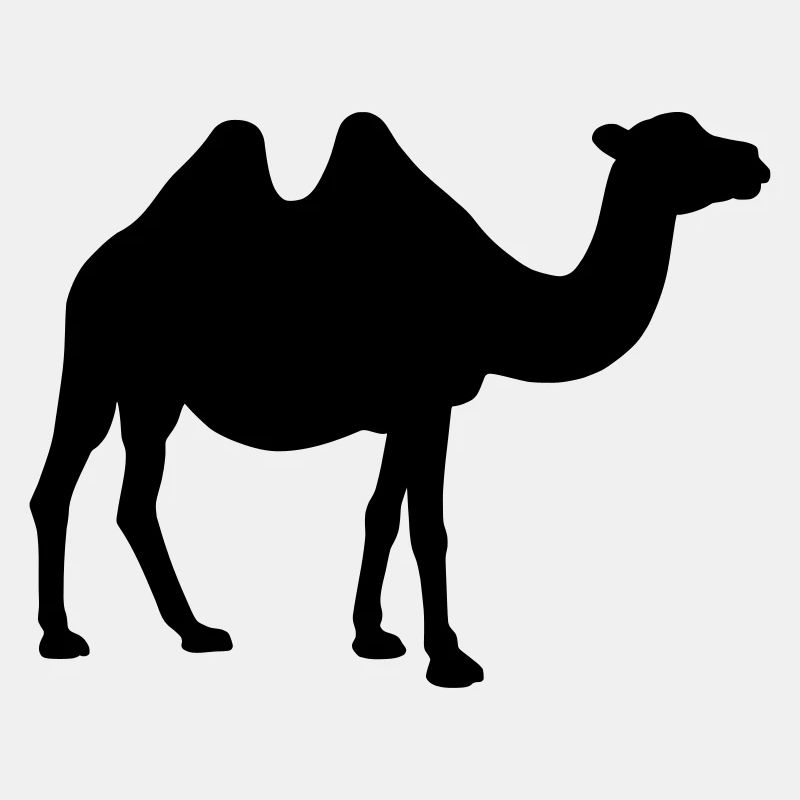 Kamel Silhouette