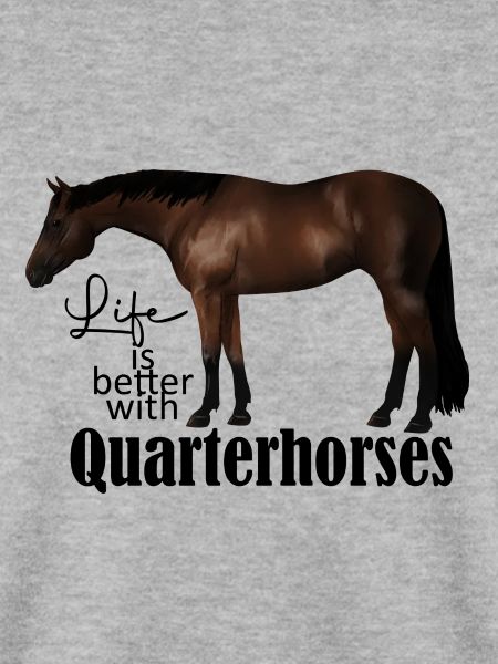 Quarterhorse Brauner