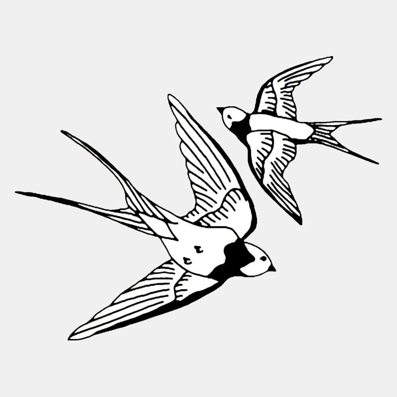 Vögel