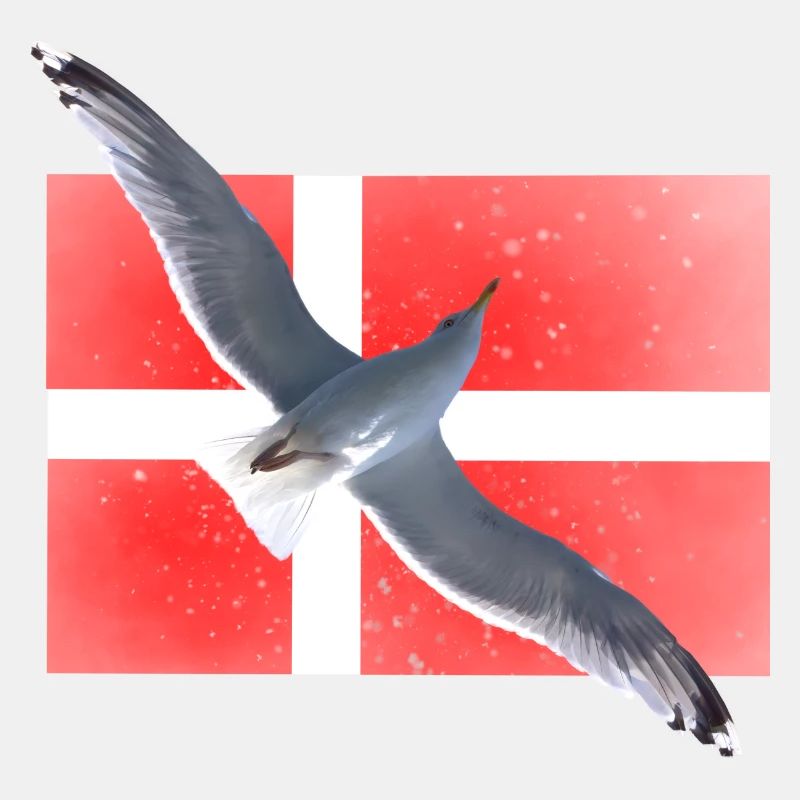 Dänemark Möwe Danmark