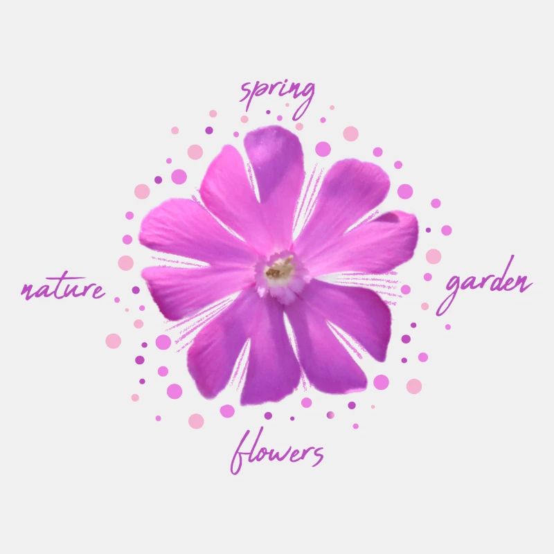 fleur rose fleurs roses