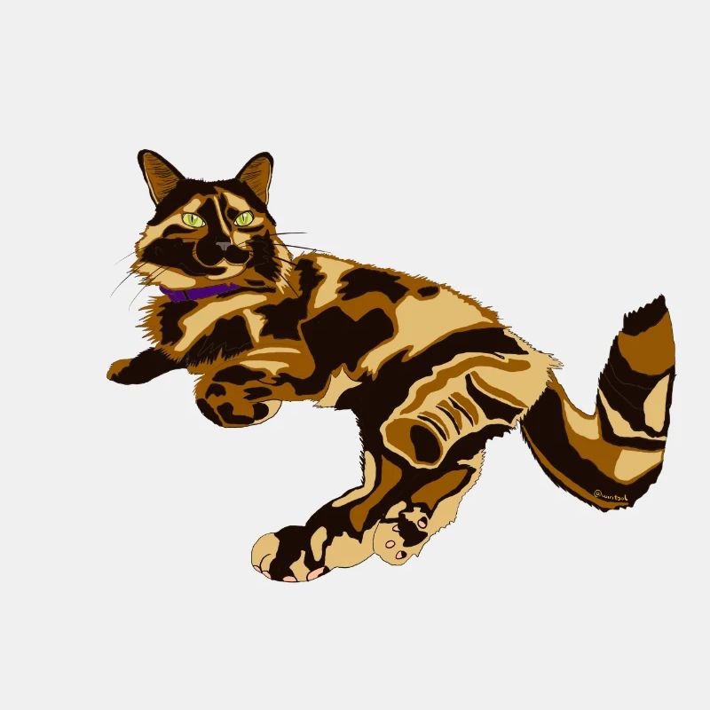 Pennya die Schildkrötenkatze