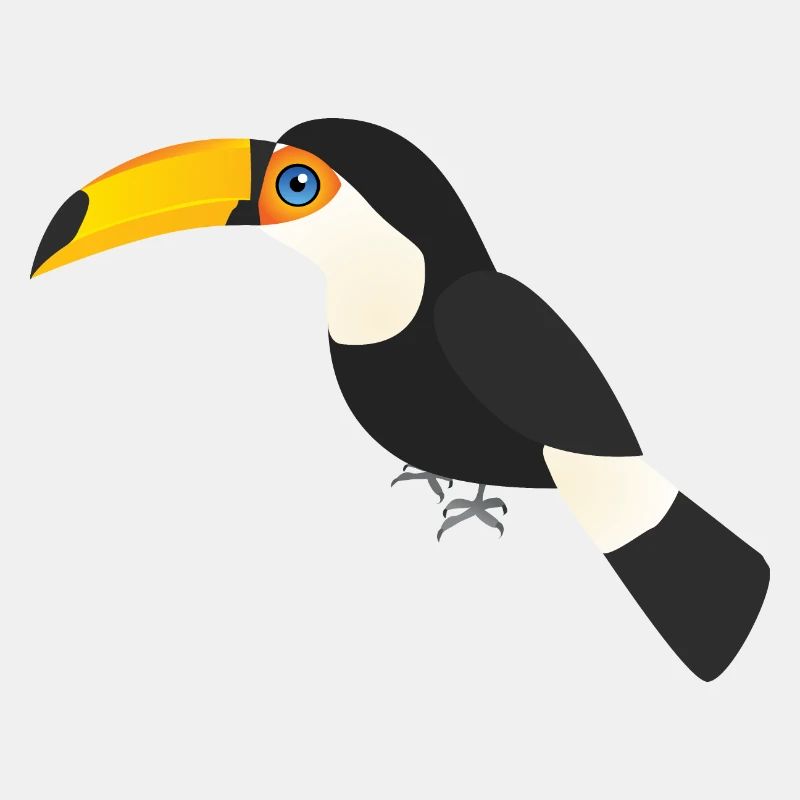 Toucan géant