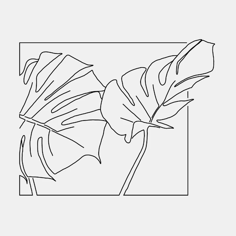 Monstera-Blätter