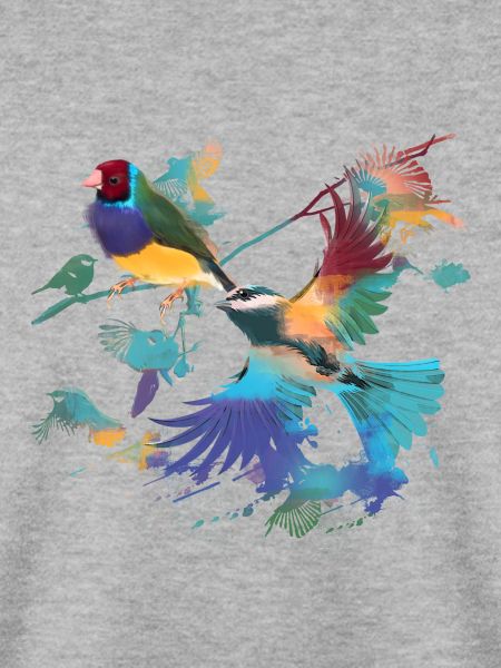 Vögel,fink,meise, vogelschwarm, Graffiti,bunt