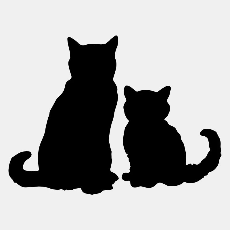 Zwei Katzen two cats