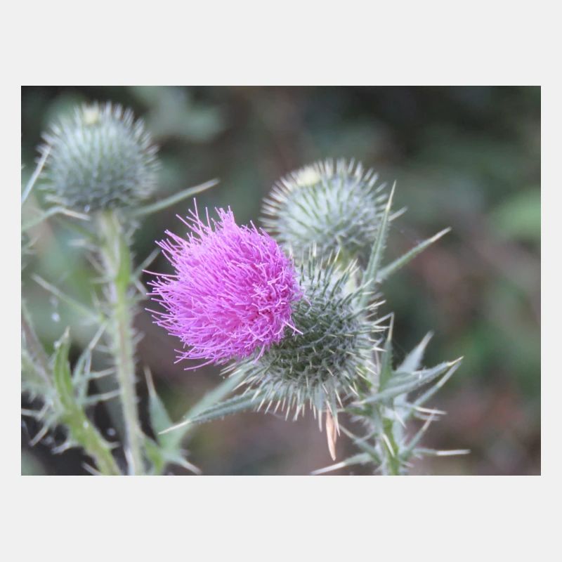 think pink- be unique