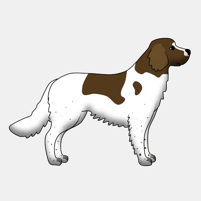 kleiner Münsterländer