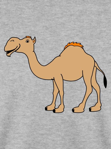 Camel