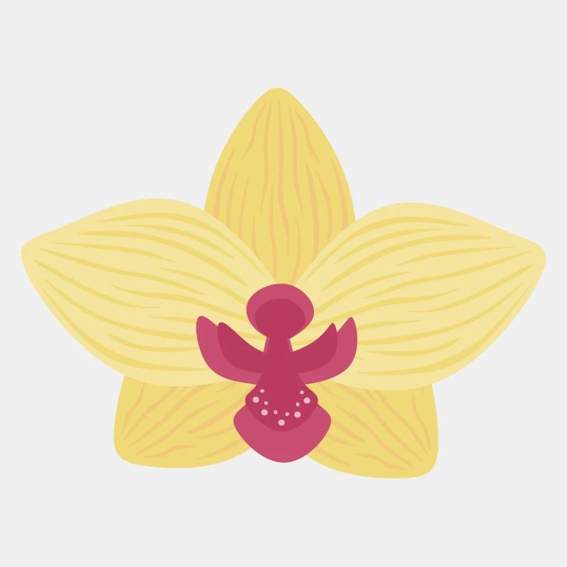 Gelbe Orchidee