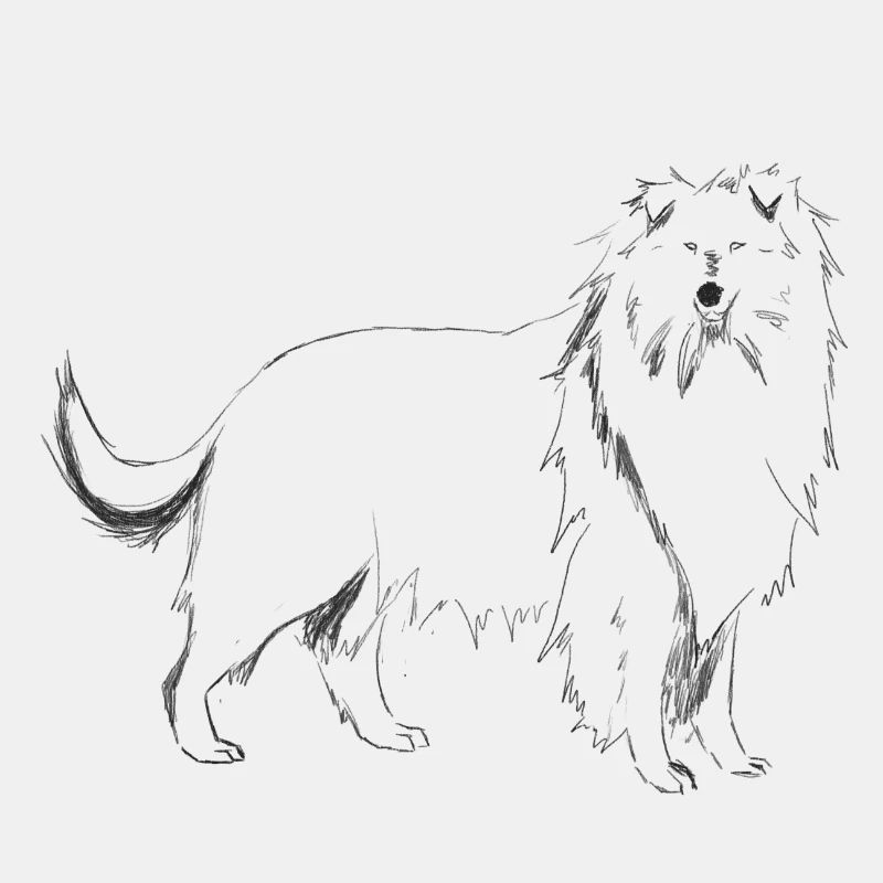 Langhaariger Colliehund