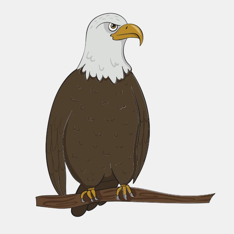 Adler