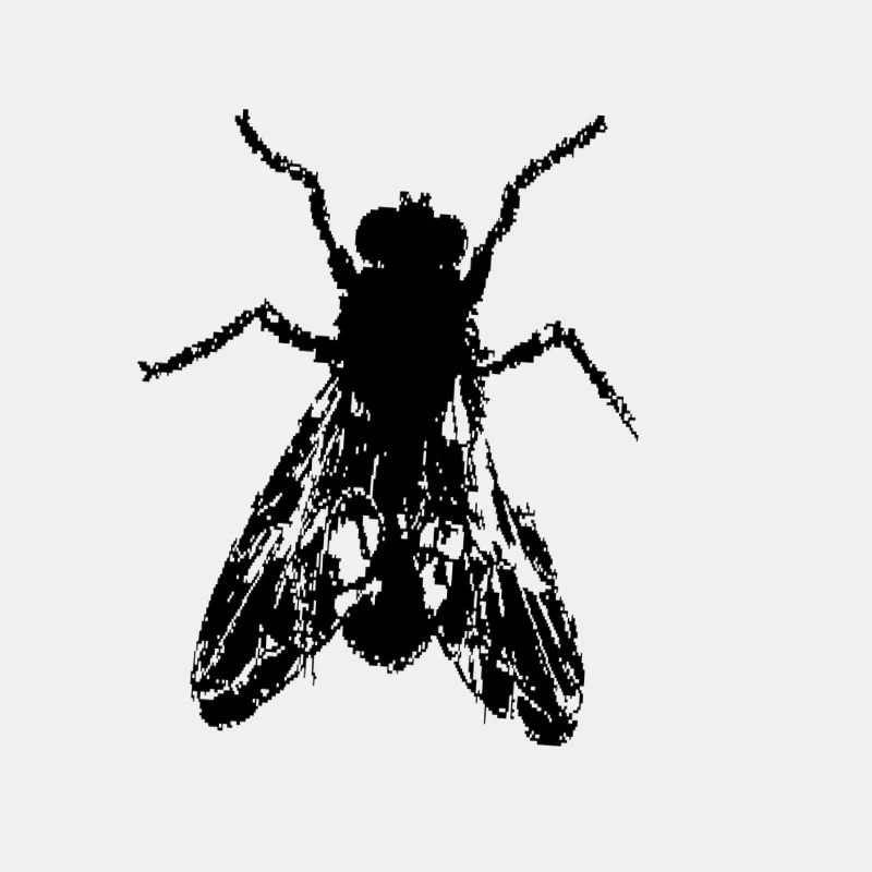 Fliege