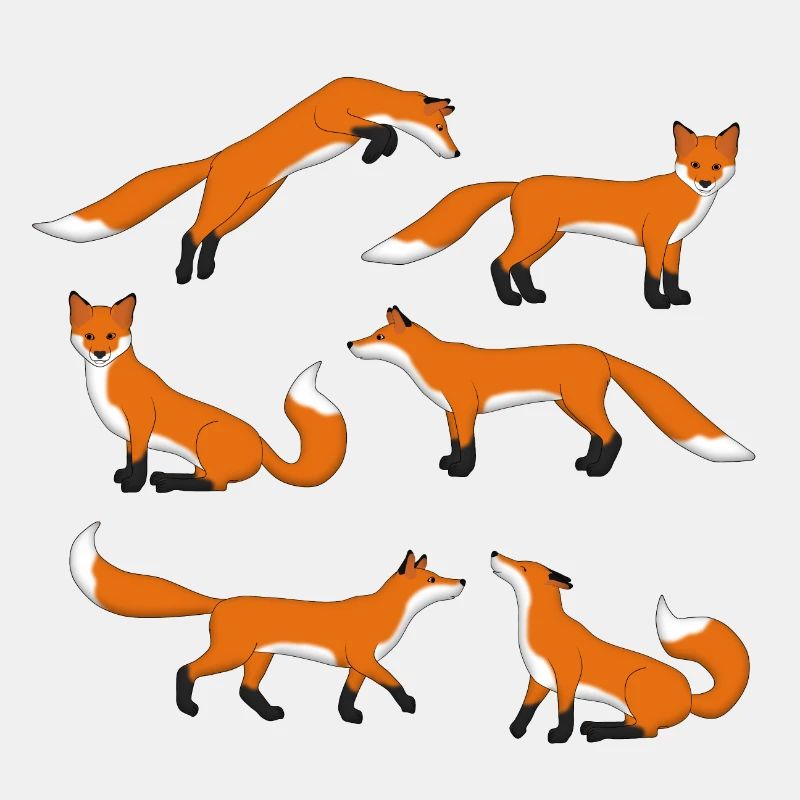 Rotfuchs Auswahl
