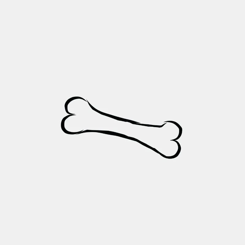 Knochen bone
