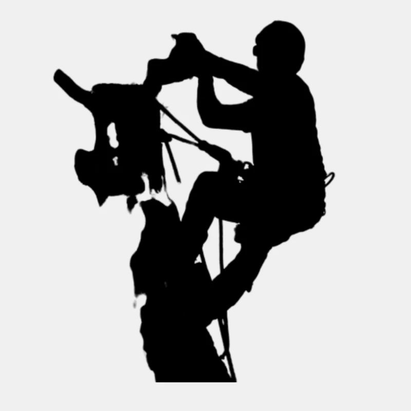Arborist Baumpfleger