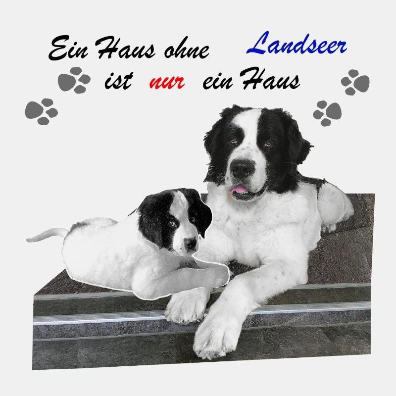 Hund-Landseer-Geschenkidee