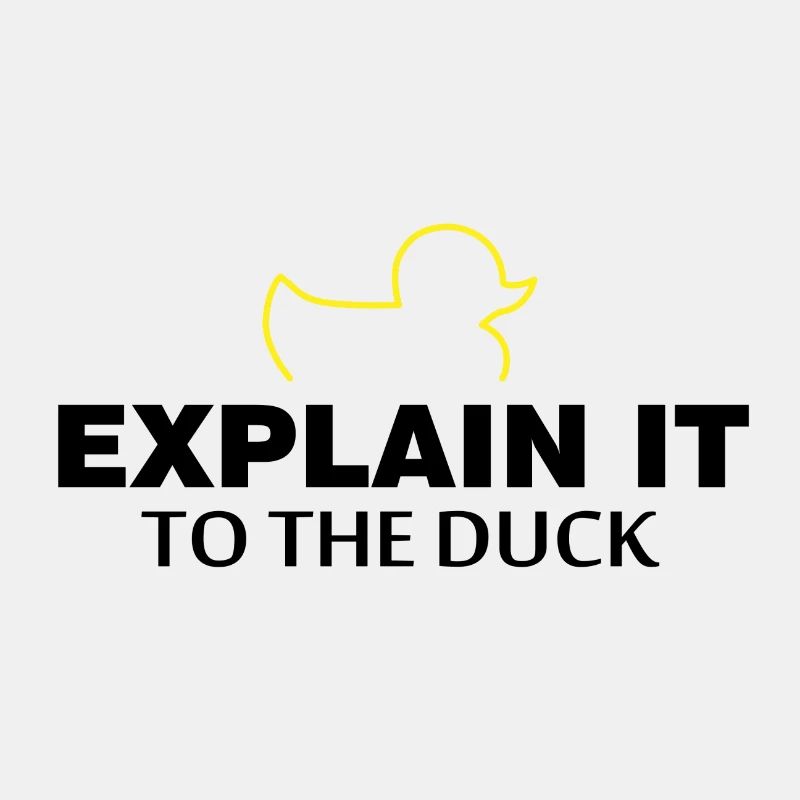 Explain it to the duck nerd programmer gift