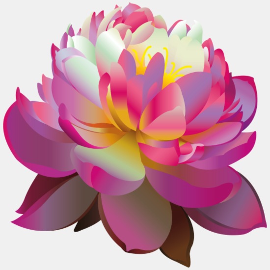 Hermosa flor de loto rosa' Sudadera unisex | Spreadshirt