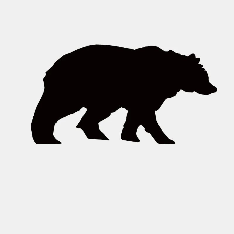 Bär
