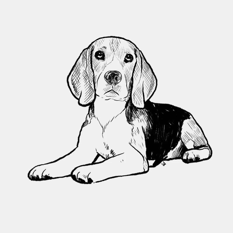Beagle-Skizze