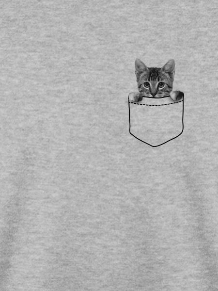 Katze in der Tasche