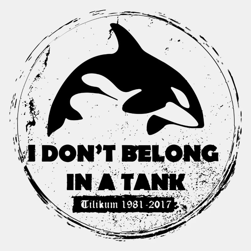 Tilikum Orca