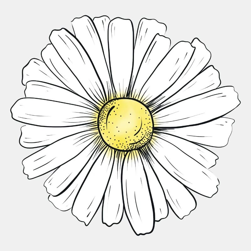 Minimalistisches Gänseblümchen
