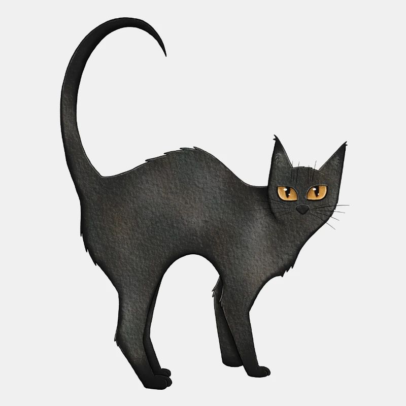 Chat Noir
