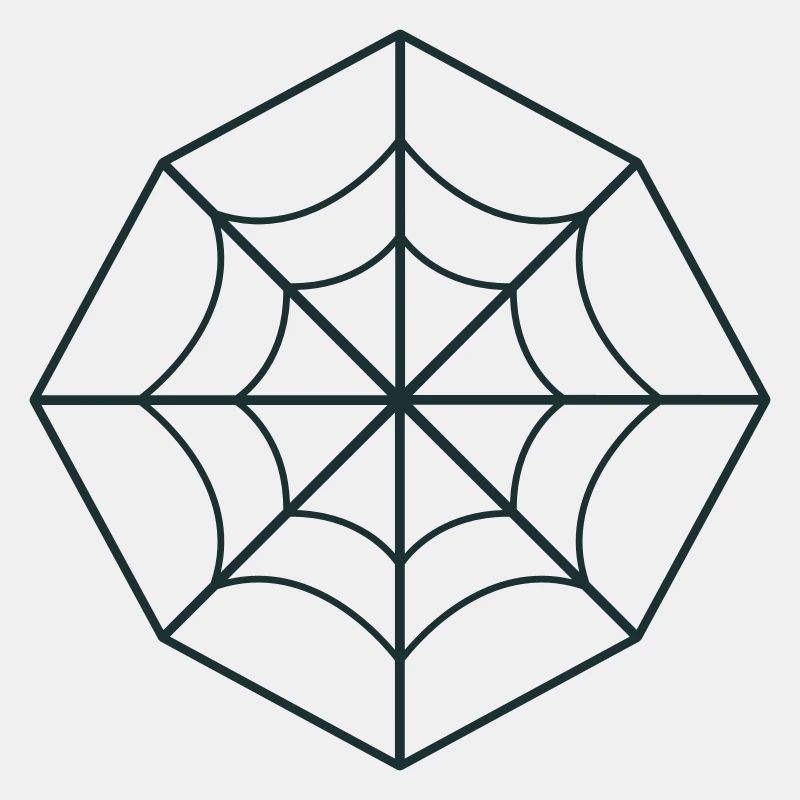 irregular spider web