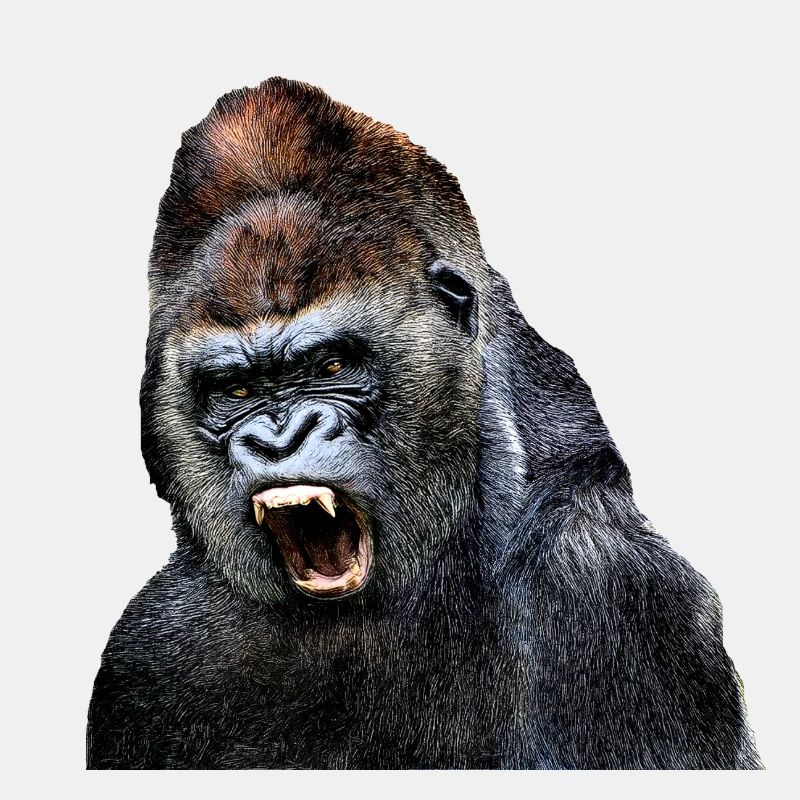 Gorilla 2