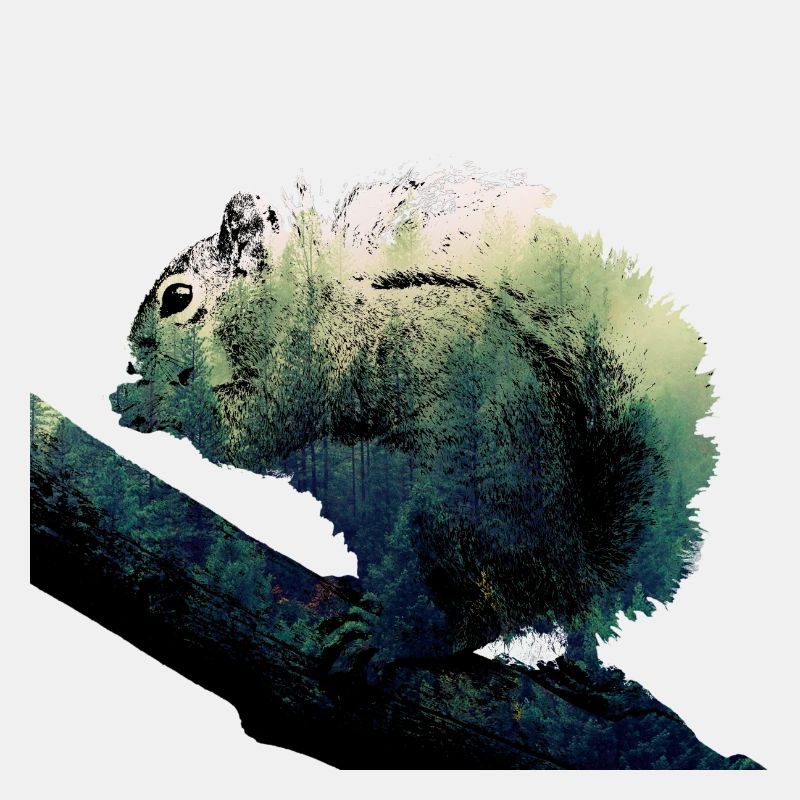 ADHD Cover Squirrel
