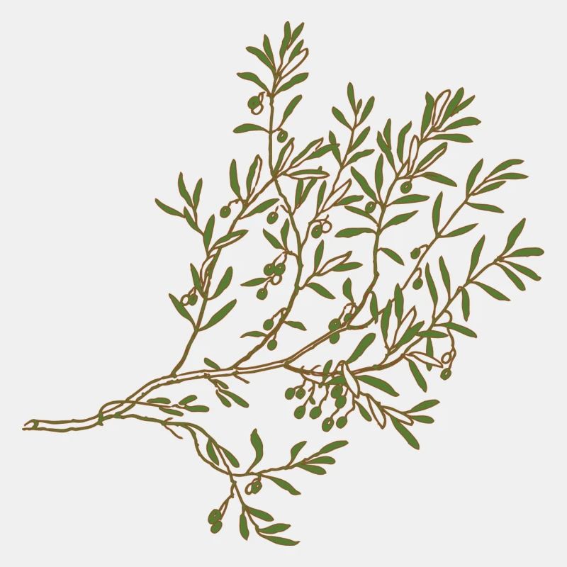 Olive tree