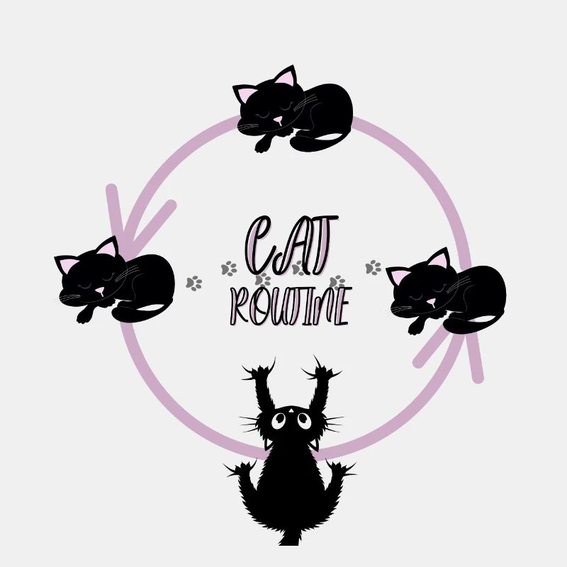 Katzen-Routine