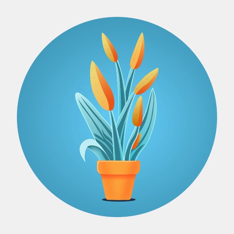 Planter dans un pot en argile