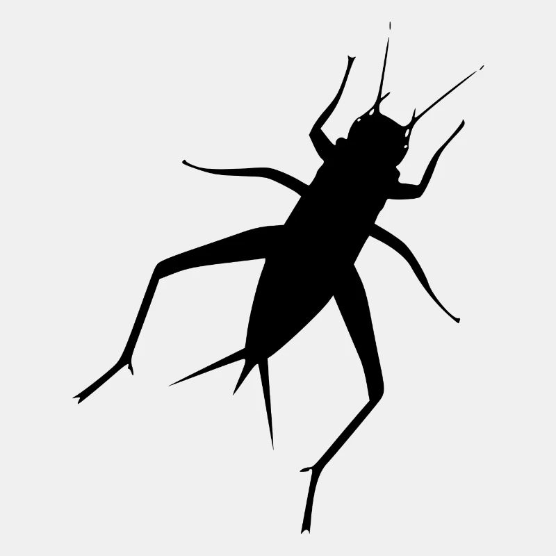 Kricket
