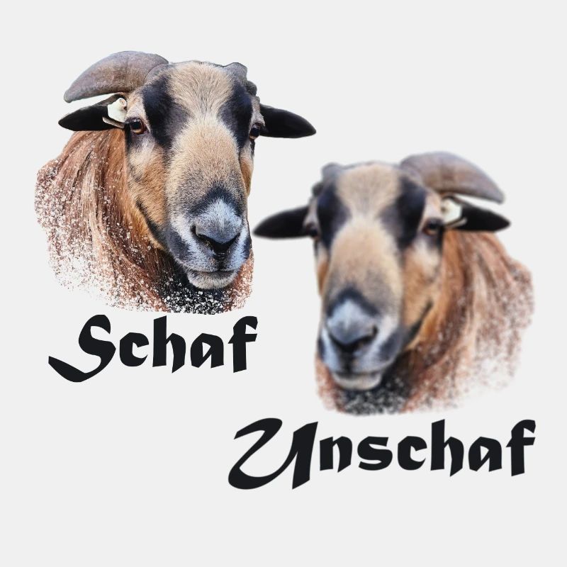 Schaf oder Unschaf?