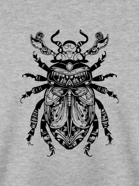 Insekten Krabbeltiere Arthropoden