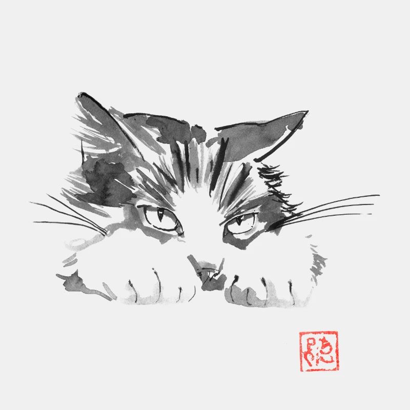 boudeur cat