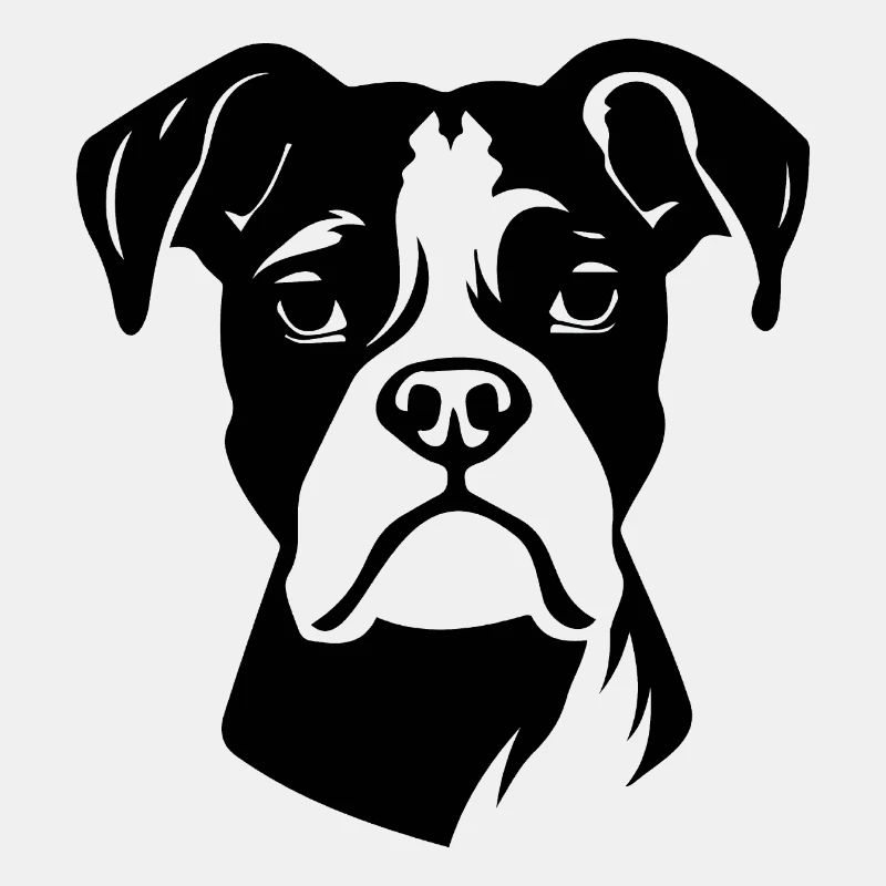 Boxer Hund Hunderasse