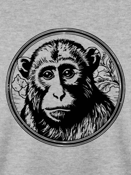 Affe Affen Affengesicht Dschungel