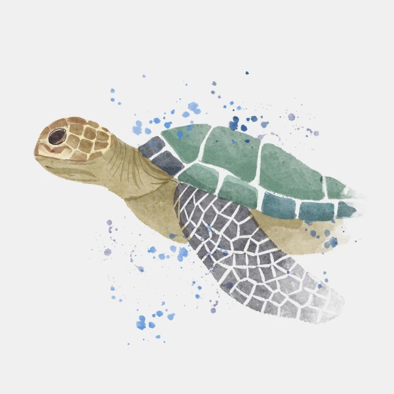 Tortue de mer
